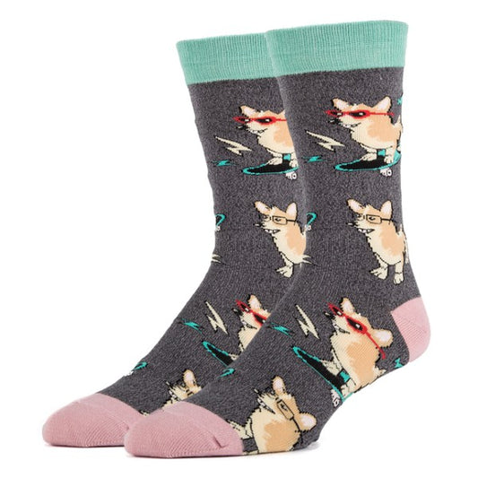 Corgi Boi - Cotton Crew Funny Socks