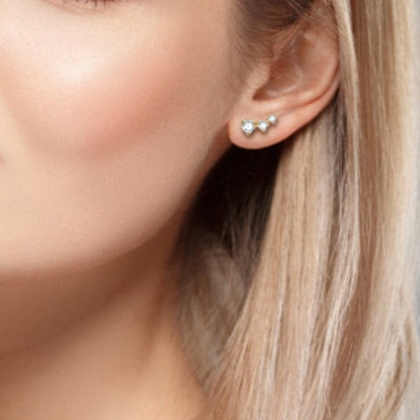 Adored Your Way Moissanite Stud Earrings