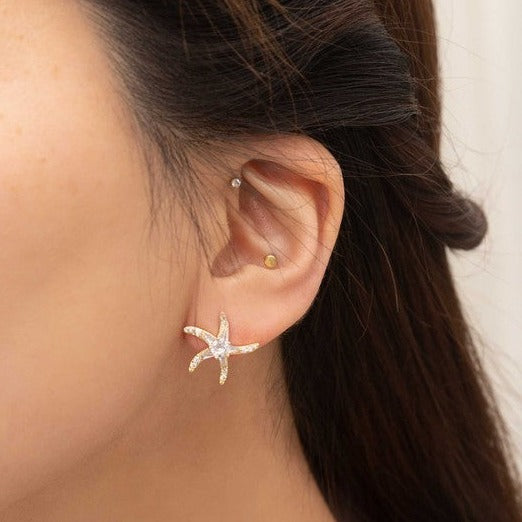 Starfish Stud Earrings