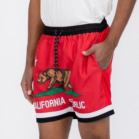 California Republic Swim Shorts