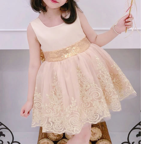 Champagne Glitter Flower Girl Dress