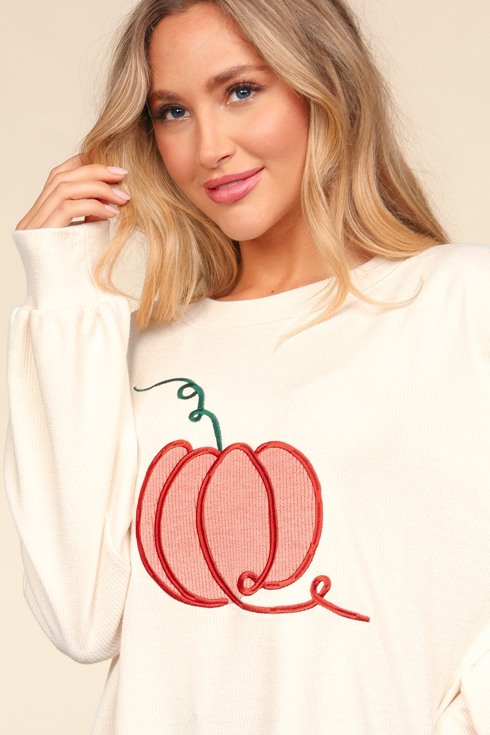 Embroidery Pumpkin Long Sleeve Knit Top