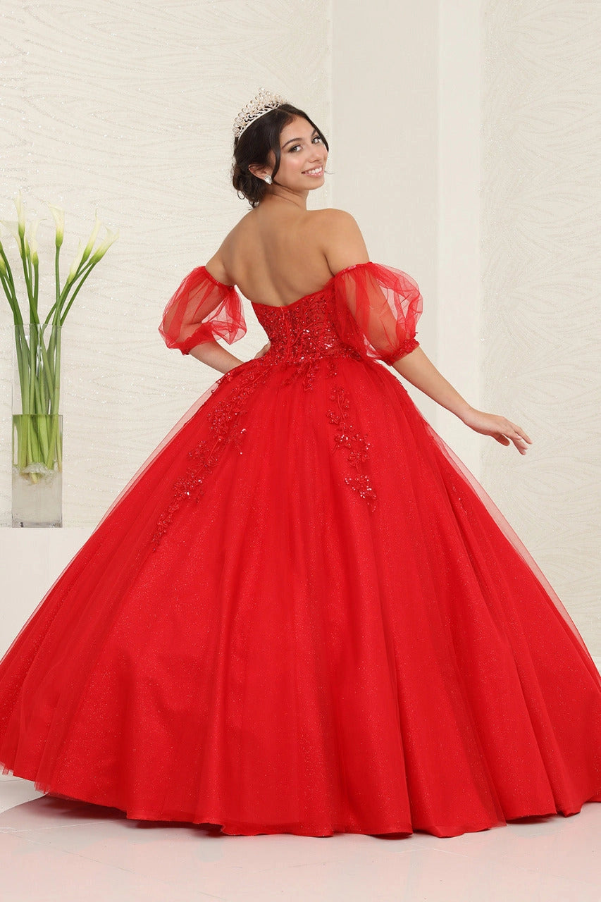 Corset Floral Sequin Applique Quinceanera Ball Gown