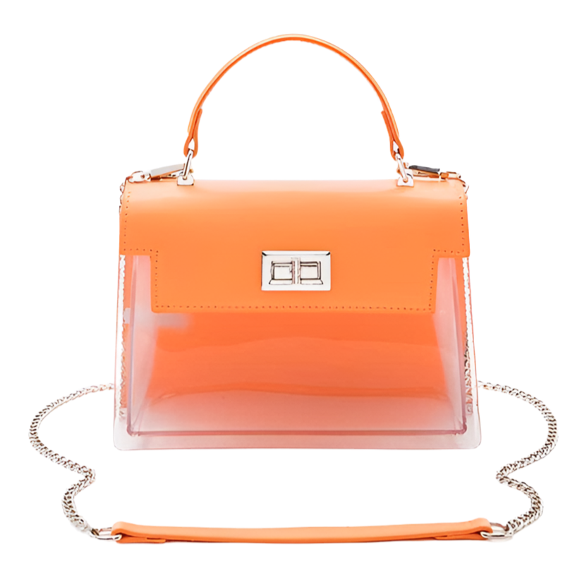 Two Tone Transparent Bag