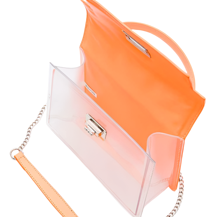 Two Tone Transparent Bag