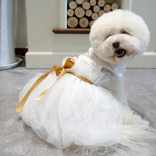 Pet Wedding Dress