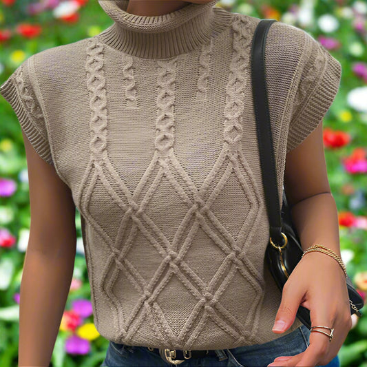 Turtleneck Knit Sweater Top