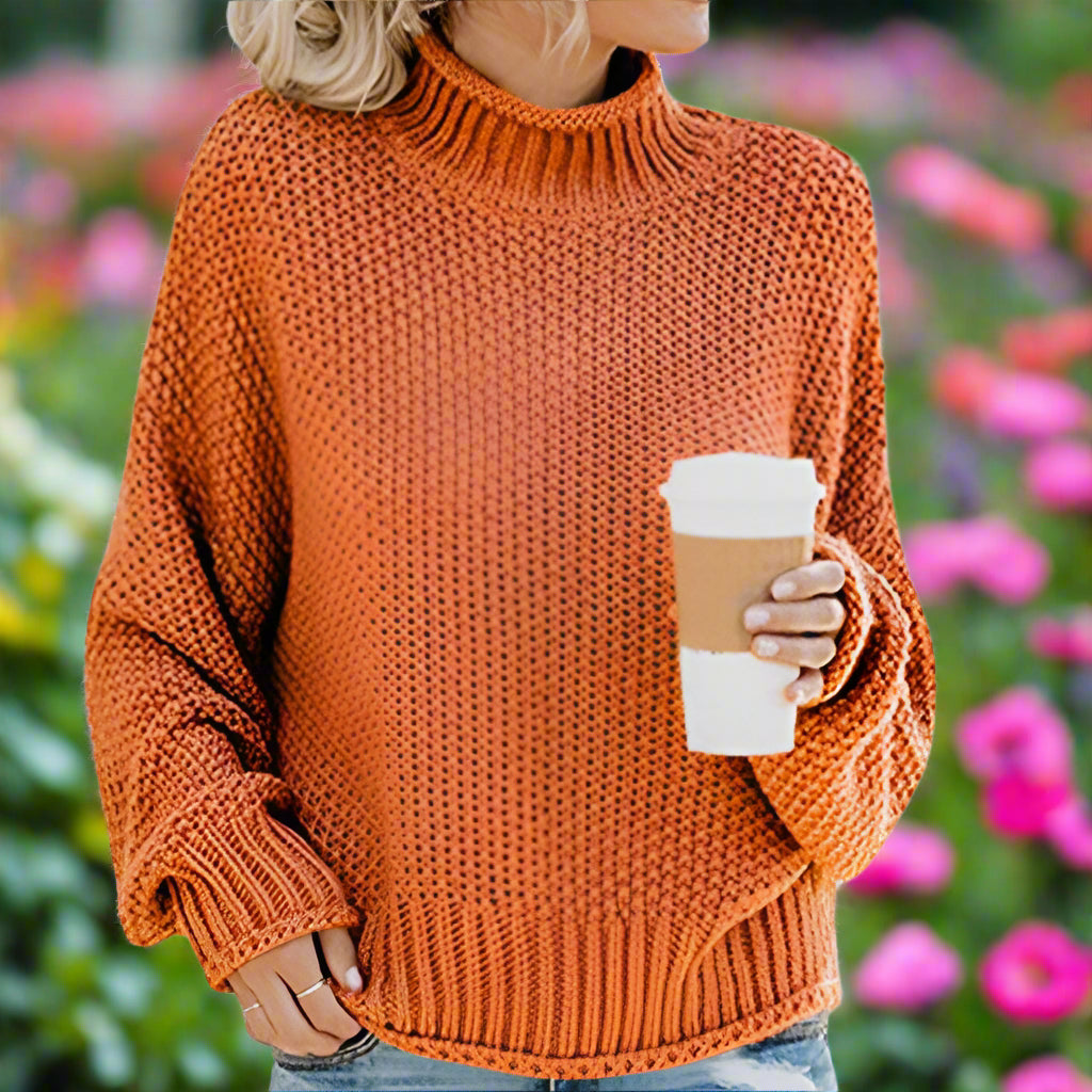 Knit Turtleneck Long Sleeve Sweater