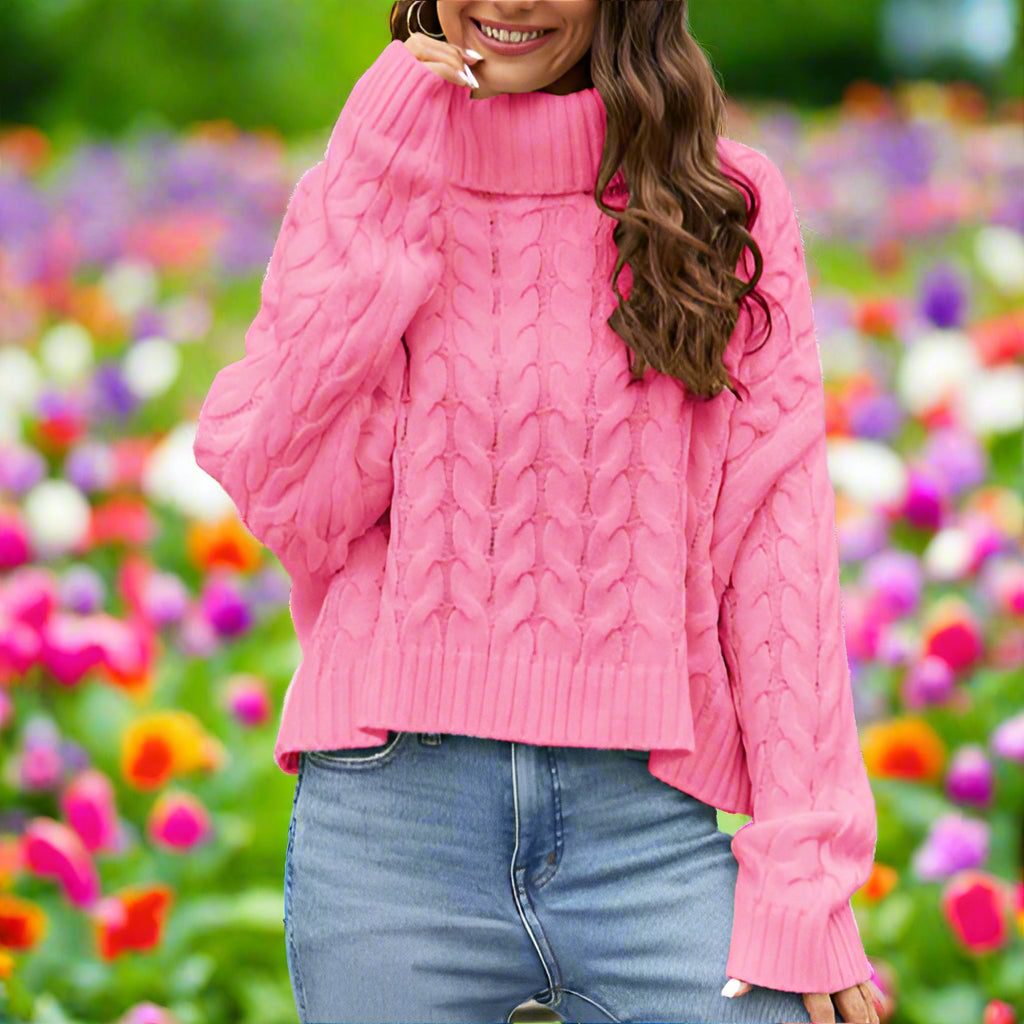 Knit Turtleneck Long Sleeve Sweater