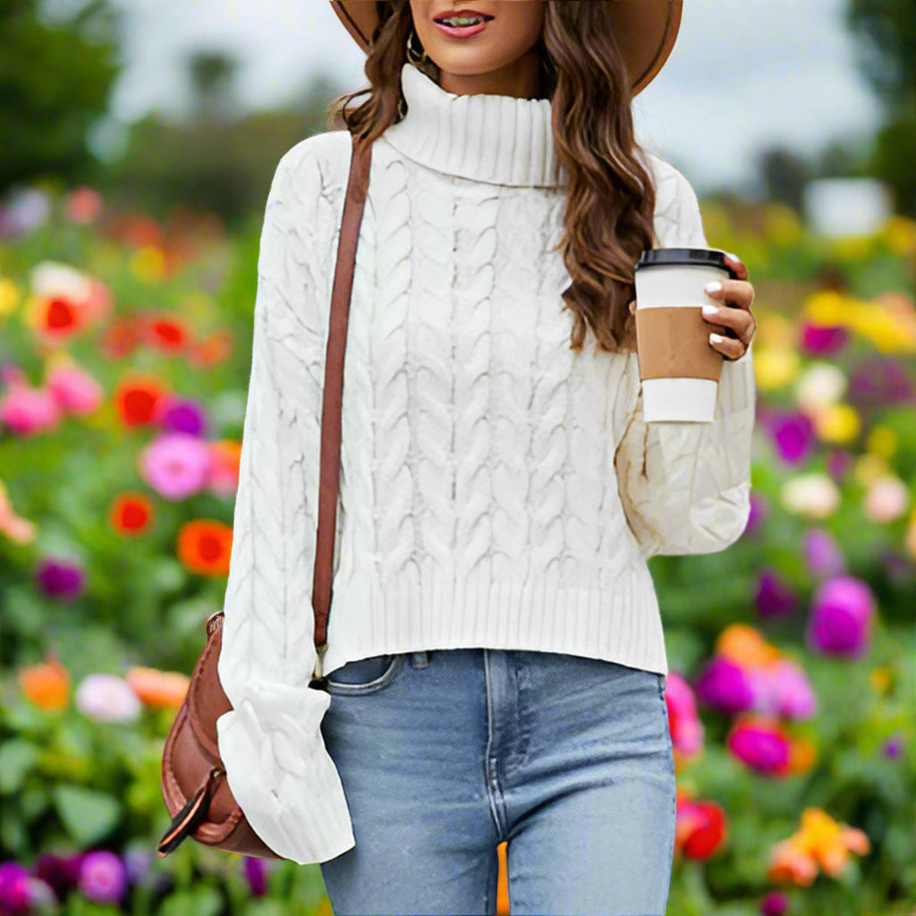 Knit Turtleneck Long Sleeve Sweater