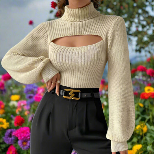 Turtleneck Knit Loose Sleeve Sweater