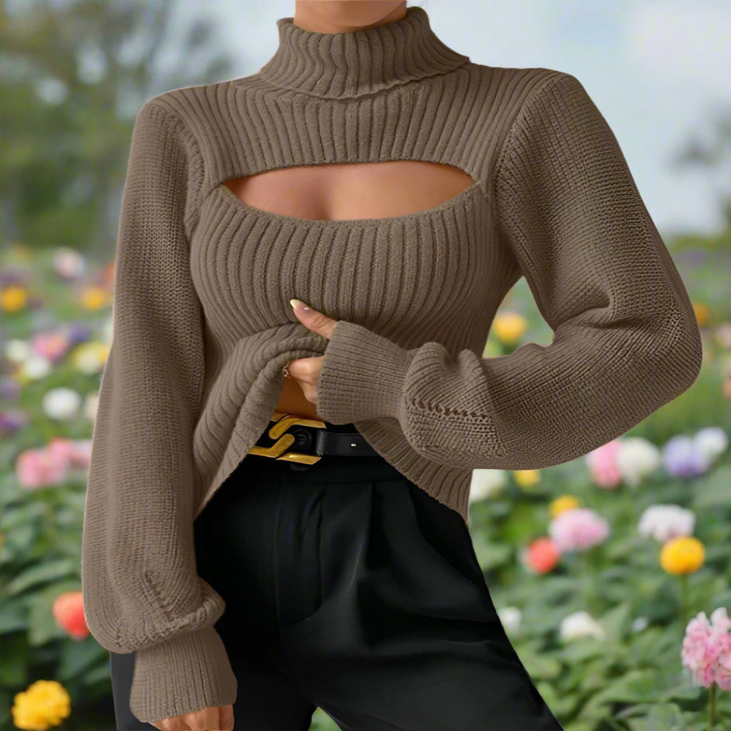 Turtleneck Knit Loose Sleeve Sweater