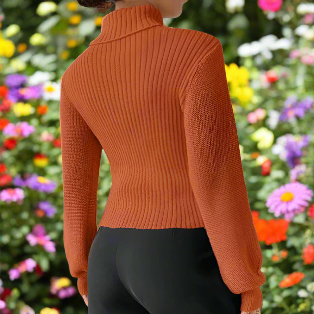 Turtleneck Knit Loose Sleeve Sweater