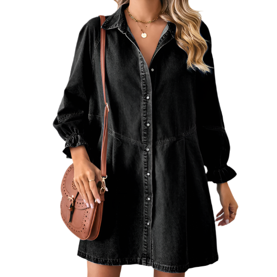 Long Sleeve Denim Button Up Dress