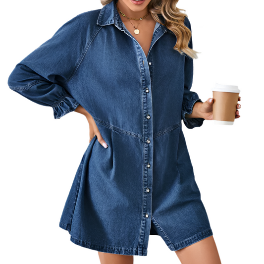 Long Sleeve Denim Button Up Dress