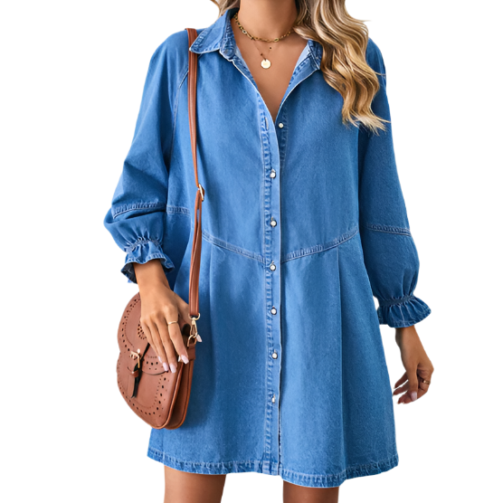 Long Sleeve Denim Button Up Dress