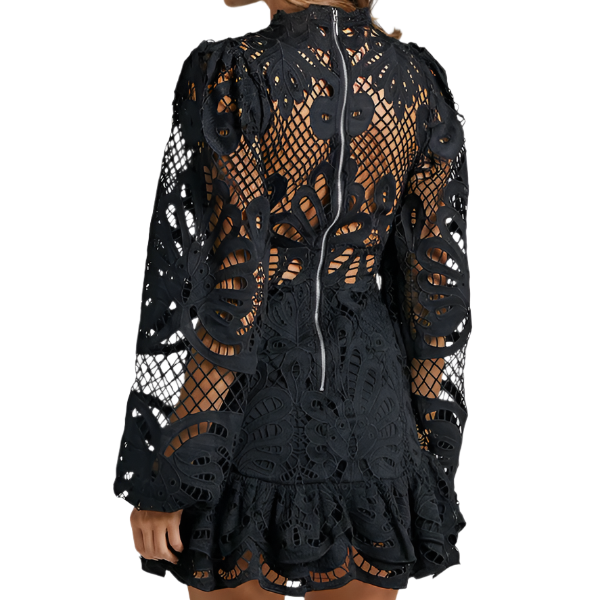 Lace Lantern Sleeve Mini Dress