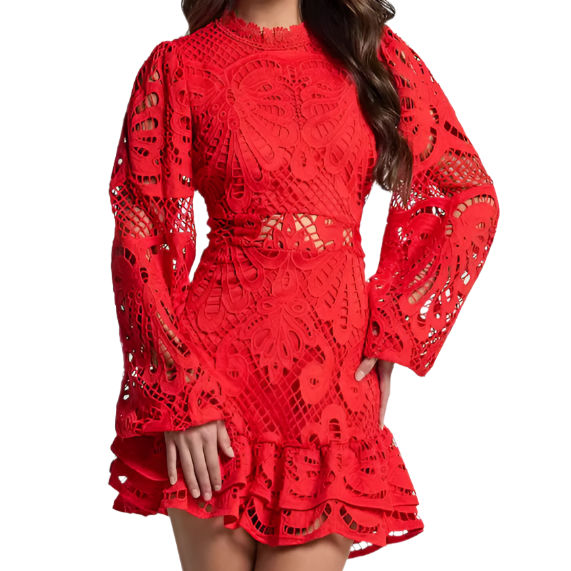 Lace Lantern Sleeve Mini Dress